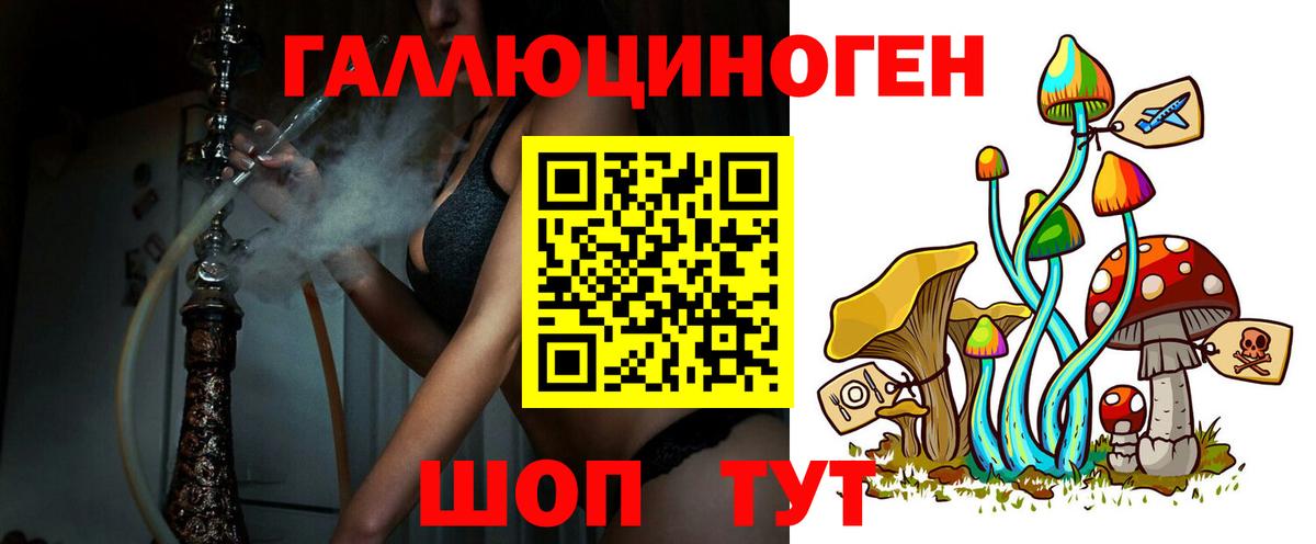 Соль-Илецк  Псилоцибиновые грибы мухоморы  Вход с VPN 
